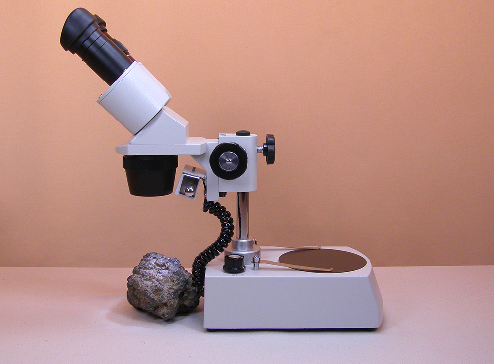 Microscope